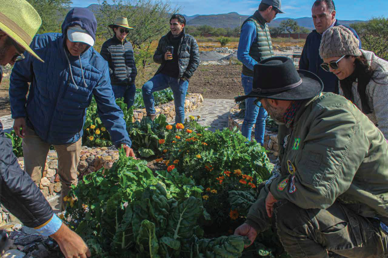 Martorell Residencial - Primer Agrihood de México - Miniatura 11