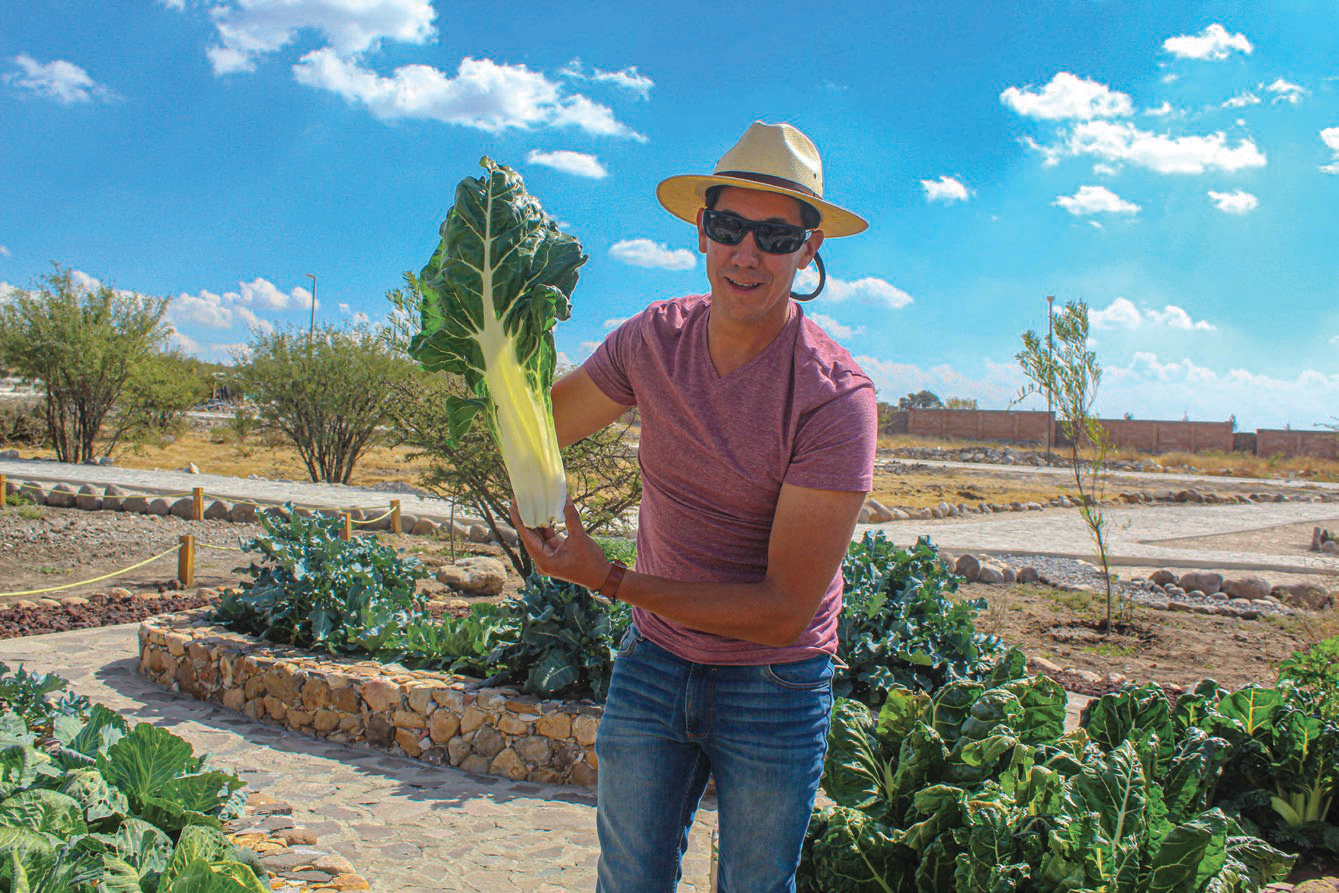 Martorell Residencial - Primer Agrihood de México - Miniatura 10