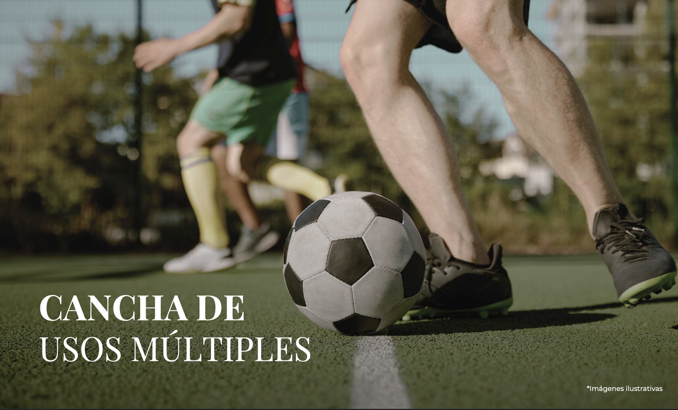 Mintara - Desarrollo Residencial Campestre - Miniatura 7