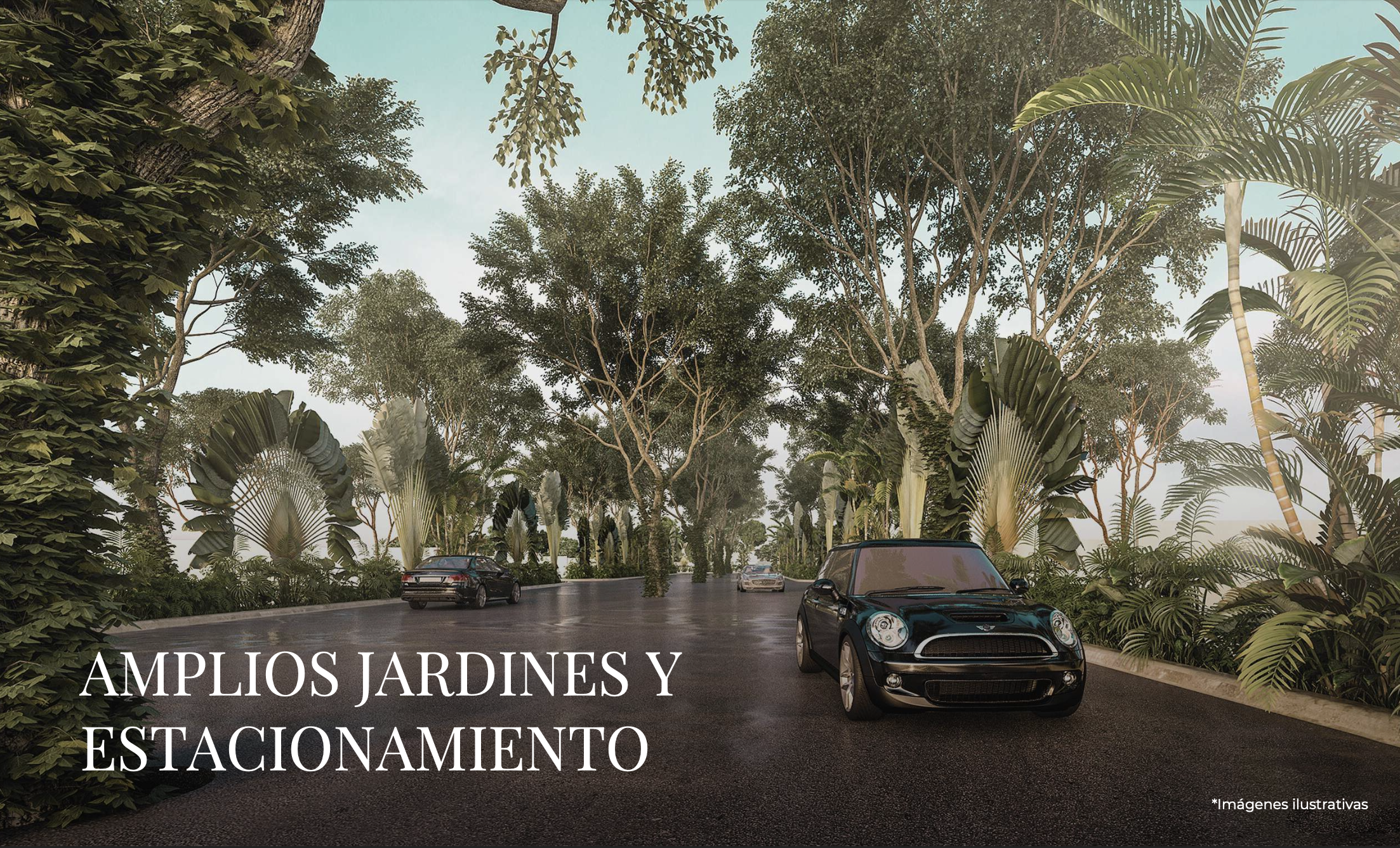 Mintara - Desarrollo Residencial Campestre - Miniatura 9