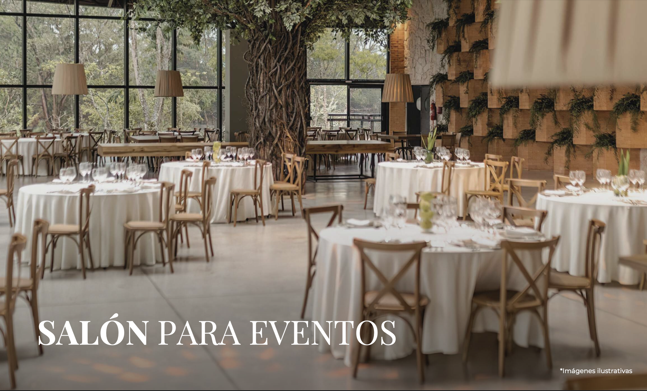 Mintara - Desarrollo Residencial Campestre - Miniatura 14